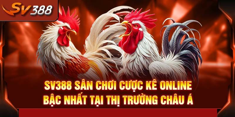 Các thể loại đá gà SV388 phổ biến