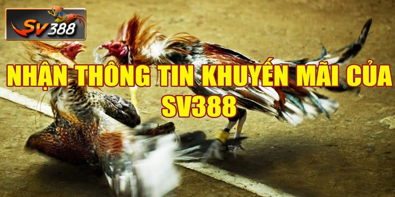 Các ưu đãi khuyến mãi SV388 hấp dẫn dành cho người chơi.